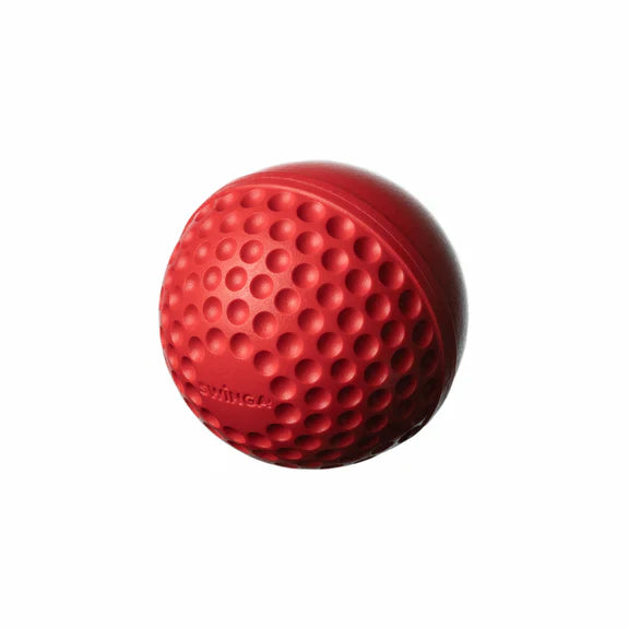 SWINGA Cricket Technique Ball