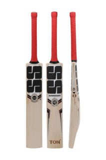 SS TON Professional Edition English Willow Cricket Bat 2025 Edition