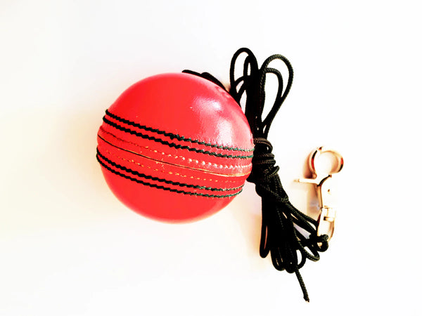 156gm cricket ball/string/swivel clip